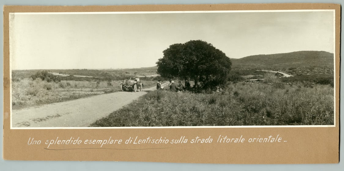 Sosta sotto un lentisco lungo la statale orientale sarda, nei pressi di Baunei, foto Vittorio Sella, ca. 1910