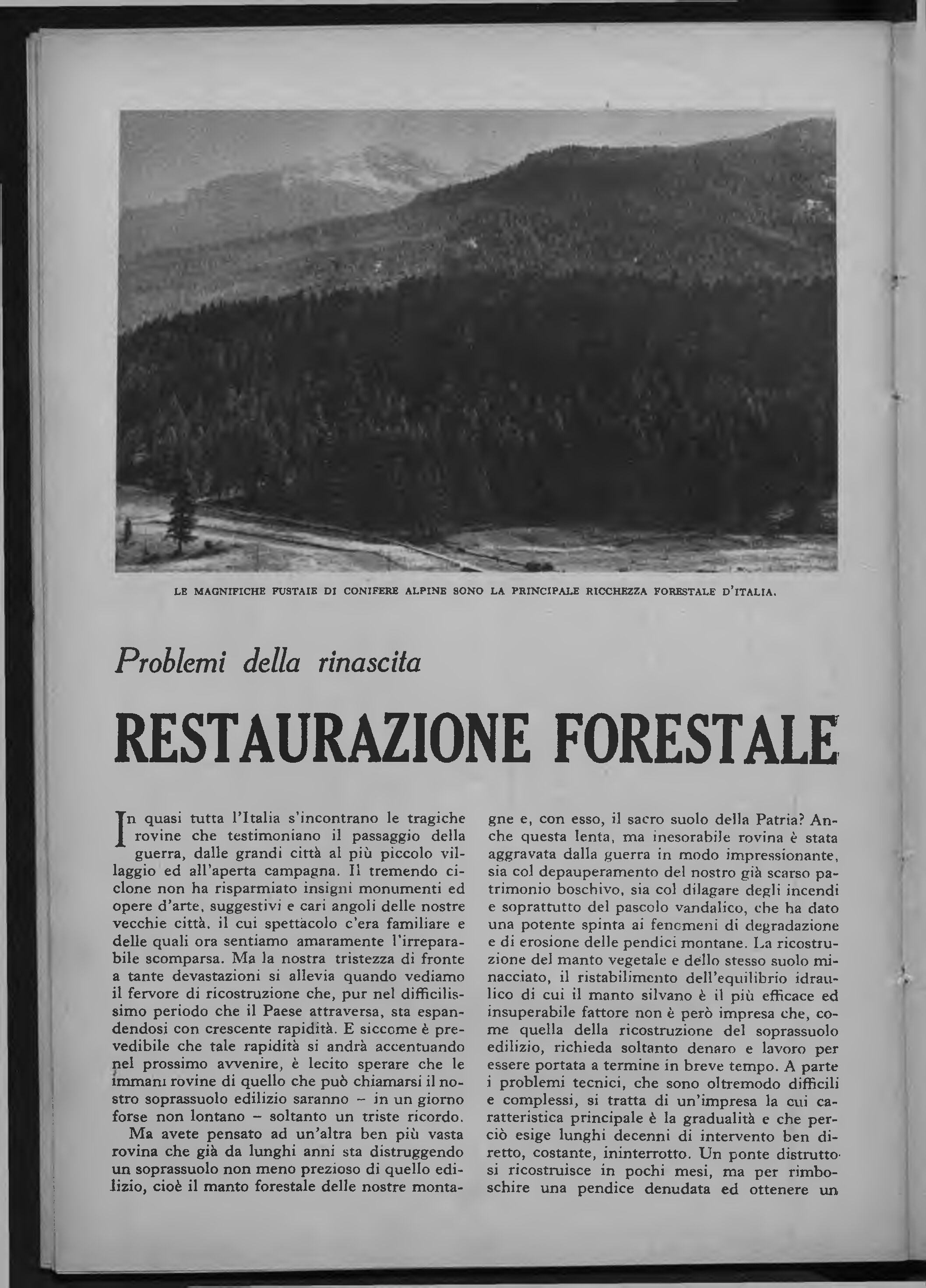 "Problemi della rinascita. Restaurazione forestale", Vie d'Italia, aprile 1946