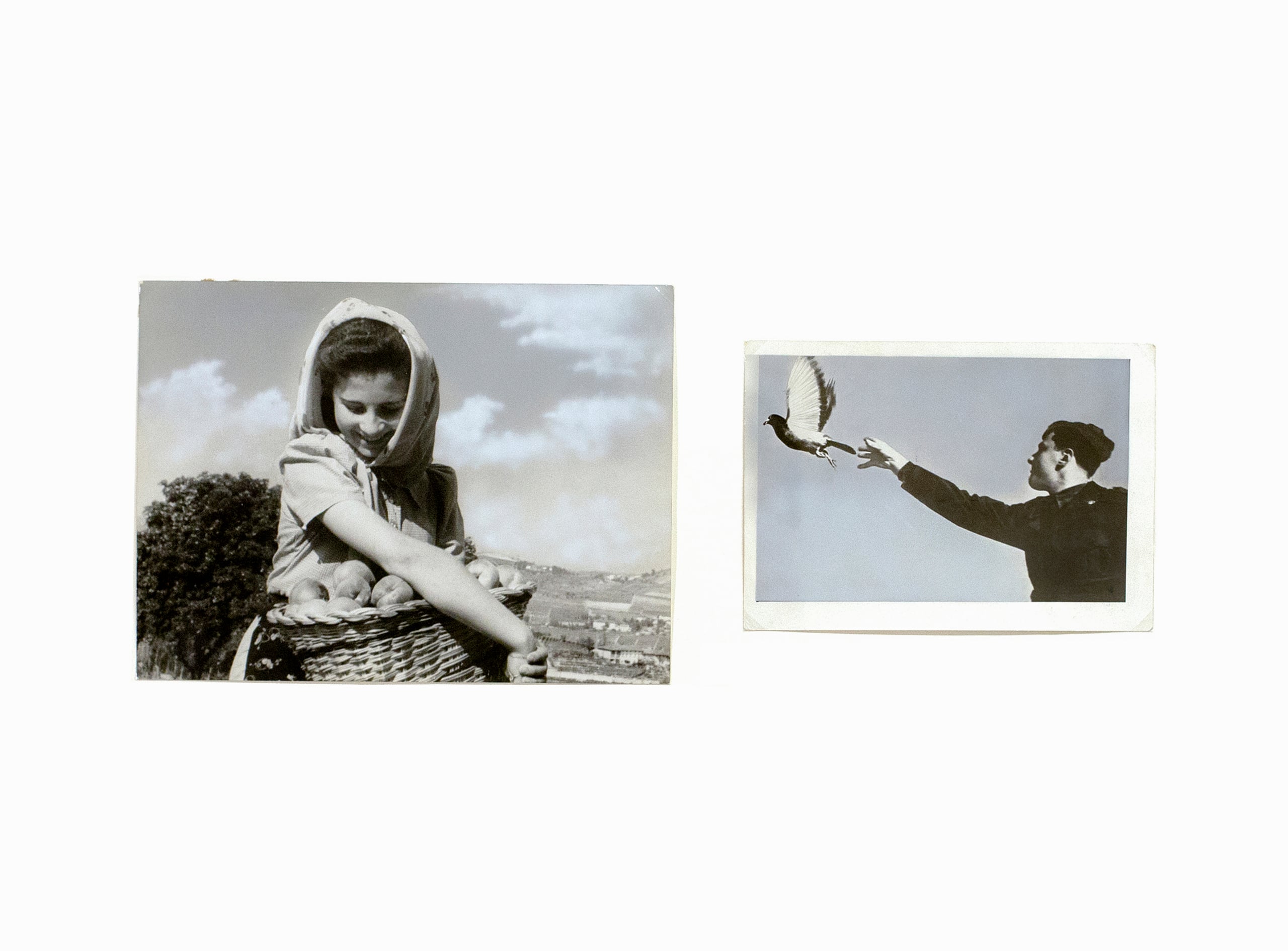 Nuove relazioni fra le stampe: una storia d'amore bucolica e onirica